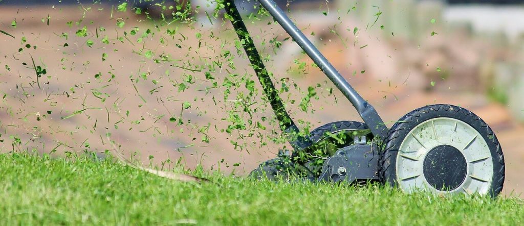 Rasen mähen mit Mähroboter