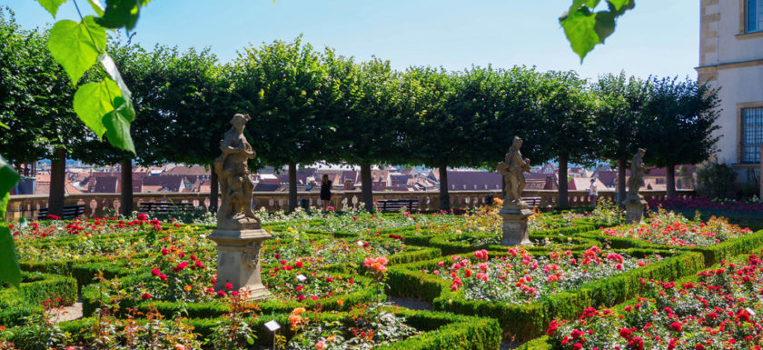 Bamberg Rosengarten